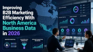 Improving B2B marketing efficiency with North America Business Data and analytics dashboards